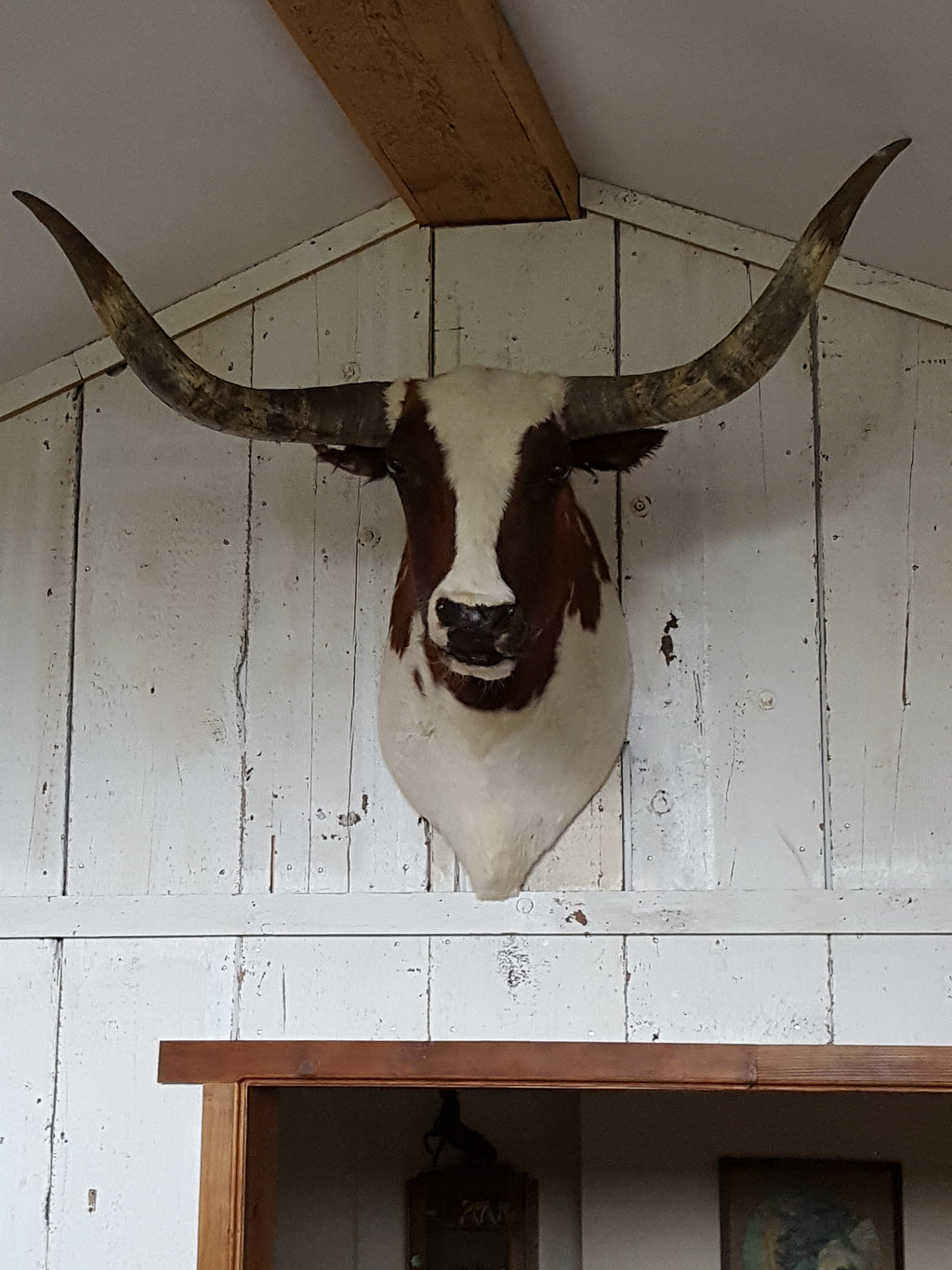 Longhorn mount