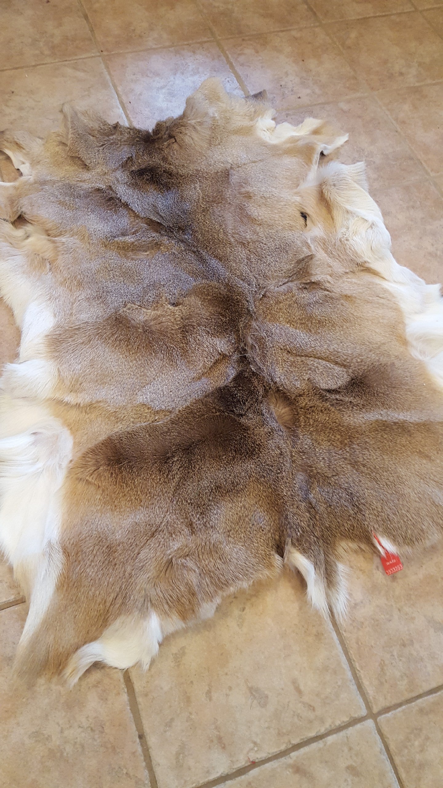 Deer hide